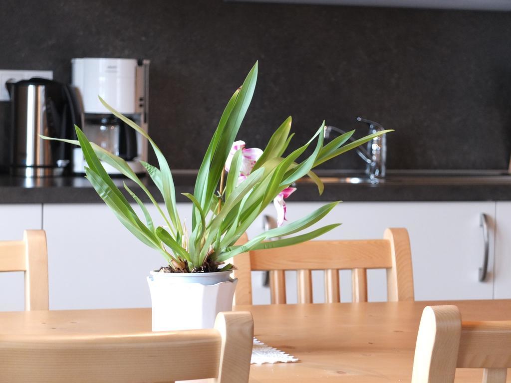 Haus Schlernblick Apartment Nova Ponente Room photo